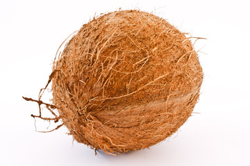 coconut