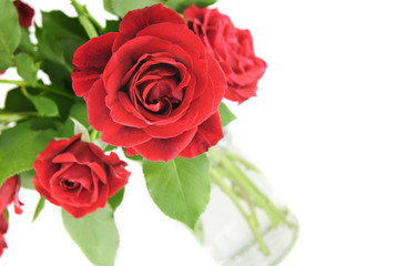 Red Roses