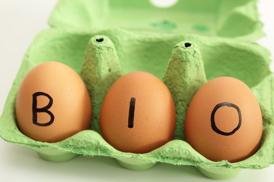bio ei