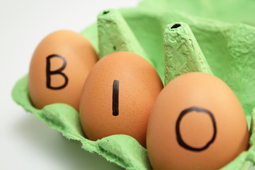 bio ei