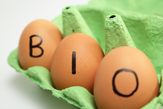 bio ei