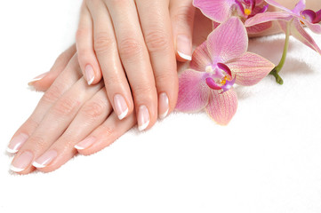 Beautiful hand with perfect nail french manicure and purple orch