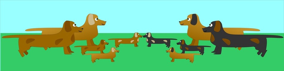 Dachshunds on green and blue background, vector illustration