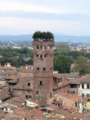Fototapeta na wymiar Widok z lotu ptaka Guinigi wieży, Lucca miasto, Toskania, Włochy.