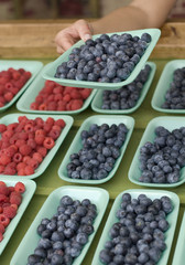 Shopping for berries at the farmer`s market