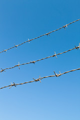 barbed wire