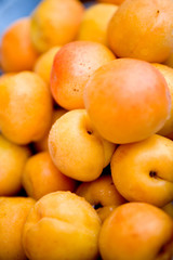 Fresh apricots on display in the store