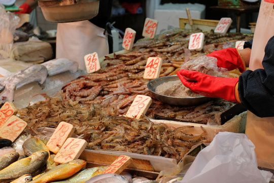 Hong Kong fish market