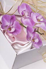 Box and orchid