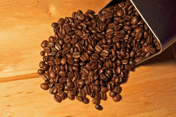 Fine Arabica Coffee Beans