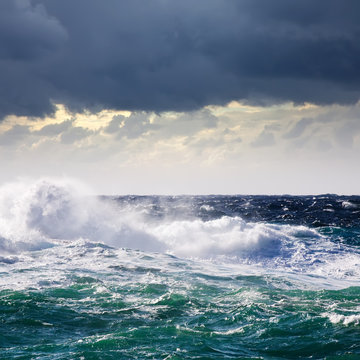 High sea wave during storm © JackF