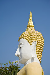 head buddha statue
