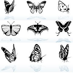 Butterfly Silhouettes - colored illustration