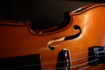 violon sur fond noir