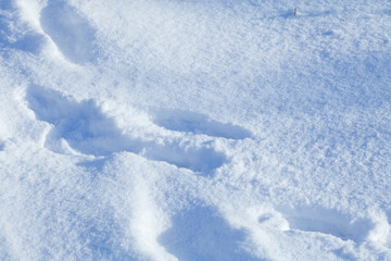 Fototapeta na wymiar Deep snow