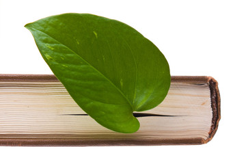 book with a green leaf