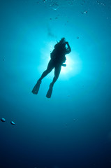scuba diver silhouetted with sunset behind