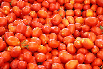 Fresh tomatoes.