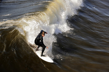 Surfer gets up on a wave.