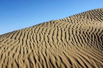 Desert with blue sky