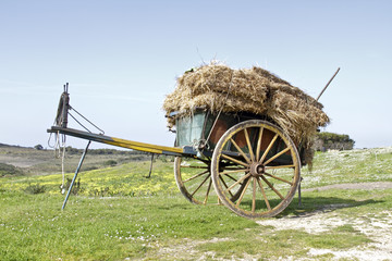 Old fashioned cart in the countryside from Portugal