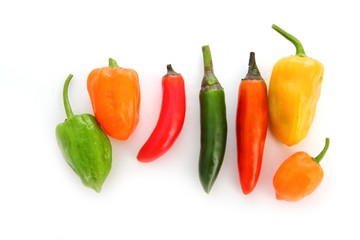 chili Habanero Serrano hot mexican peppers