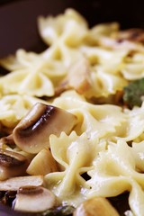 Farfalle with mushrooms