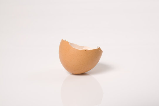 Broken Egg Shell