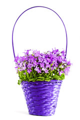 Flowers in basket