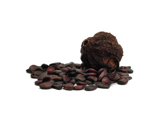 dry japanese quince and seed