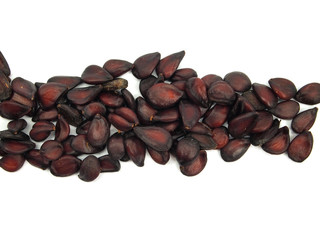 dry japanese quince  seed