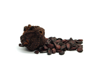 dry japanese quince and seed