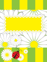 Greeting card with ladybird and chamomile