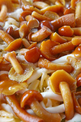 stockschwämchen,salat