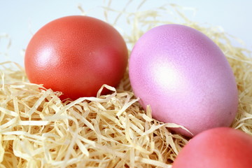 Ostereier pink und rot