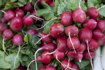 Radish for sale on Market Stalls in Mallorca, Spain