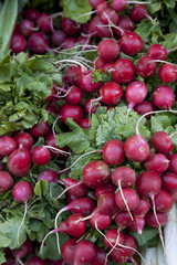 Radish for sale on Market Stall in Mallorca, Spain