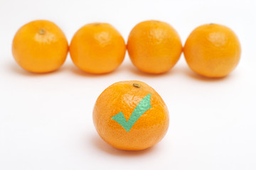 Tangerine in front in focus with green tick mark on white