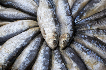 Sardines for sale on Market Stall in Mallorca, Spain