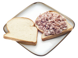 Open Face Tuna Salad Sandwich