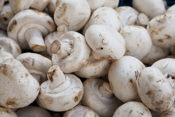 Mushrooms for sale on market stall