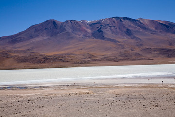 Bolivian Altiplano