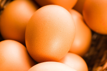 Fresh brown cage free eggs