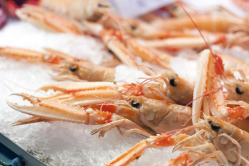 Compra 31 © VictorD