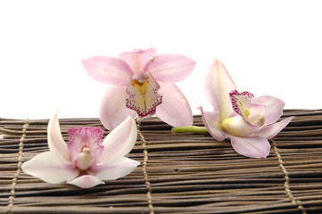 Fototapeta na wymiar Set of orchid on bamboo mat