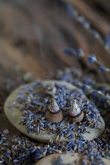 Aromatherapie mit Lavendel