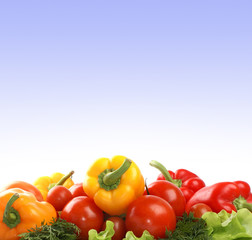 Fresh and tasty vegetables on a light blue gradient background