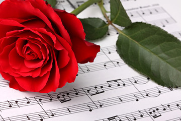 Symphony of love 3