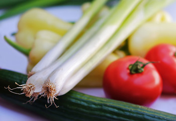 Fresh vegetables leek,cucumber, tomato and pepper