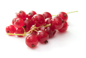 red currant